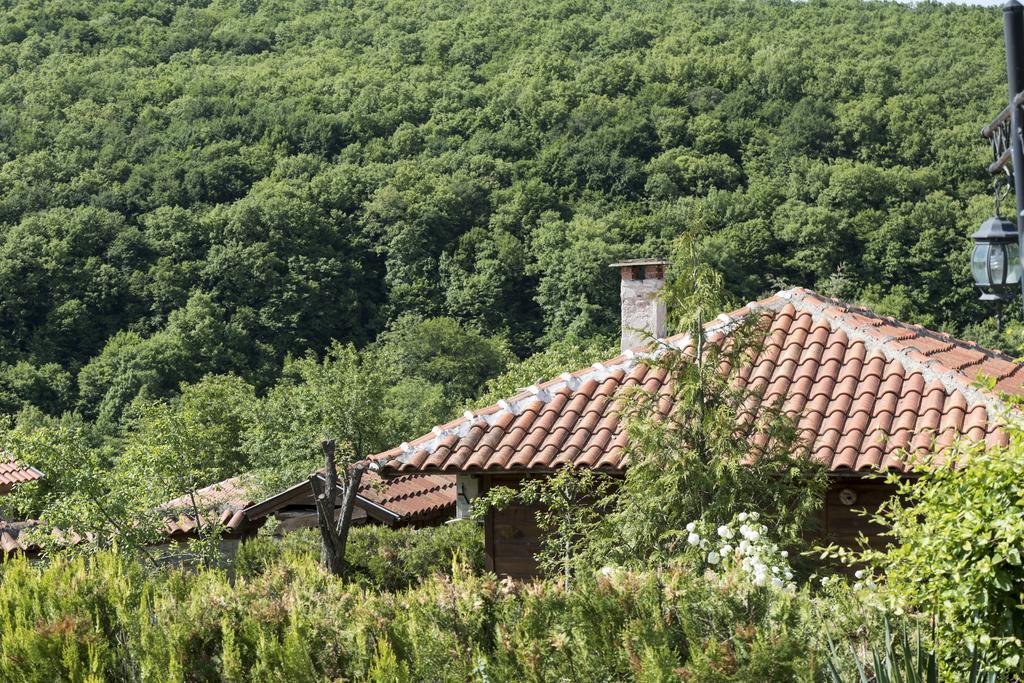 Ecocomplex Katuniszcze Hotel Katunishte Buitenkant foto